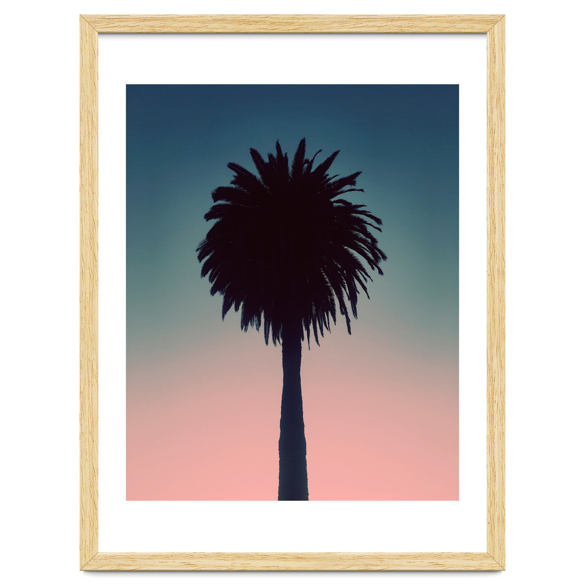 Sundown Palm