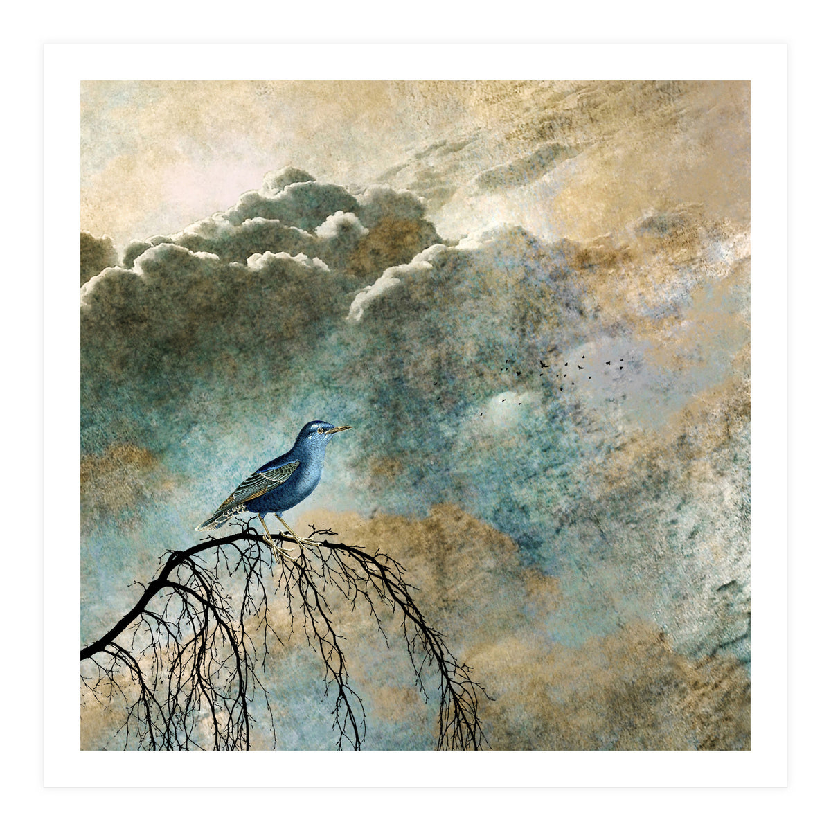 HEAVENLY BIRD IIa (Print Only)
