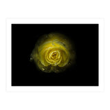 Backyard Flowers 64 Color Version (Print Only) thumbnail
