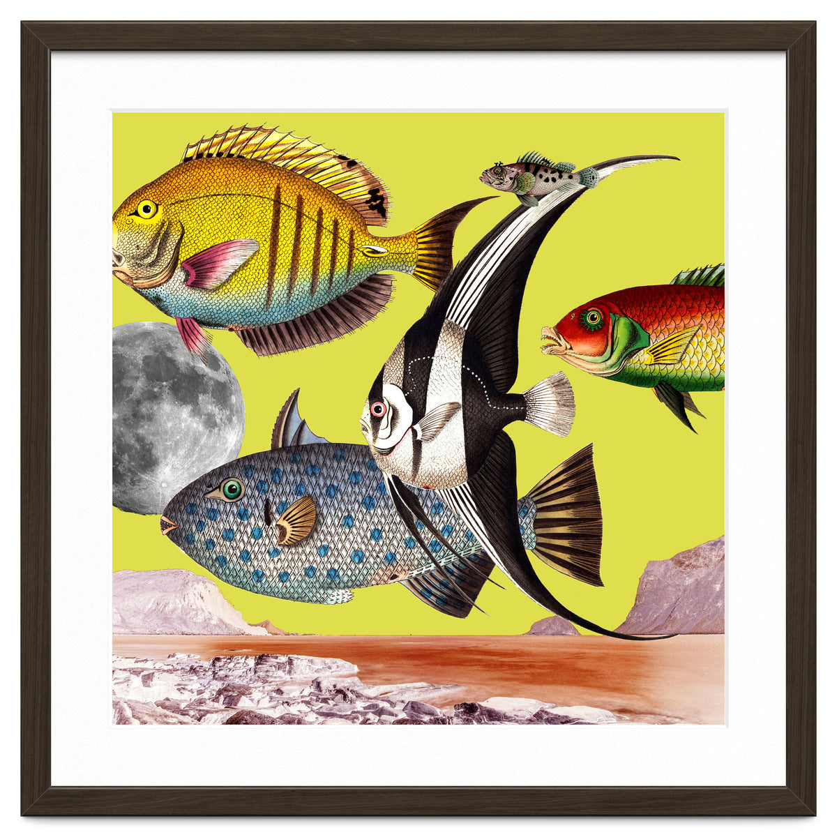 Plenty Of Fish In The Sea Yellow