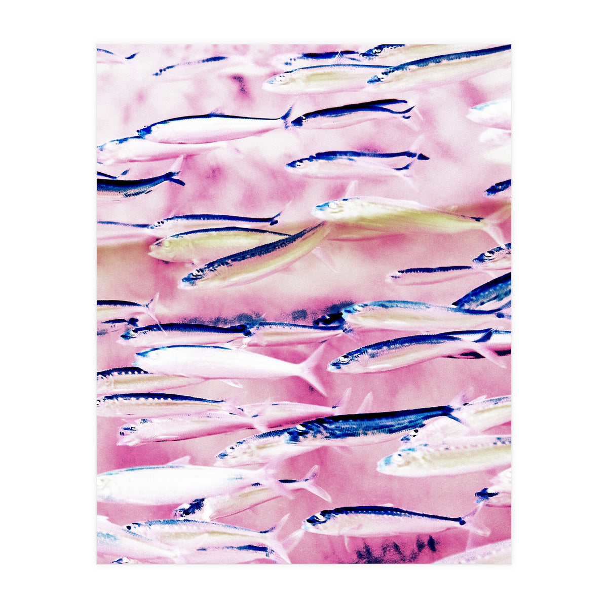 Marked Coast (Print Only)