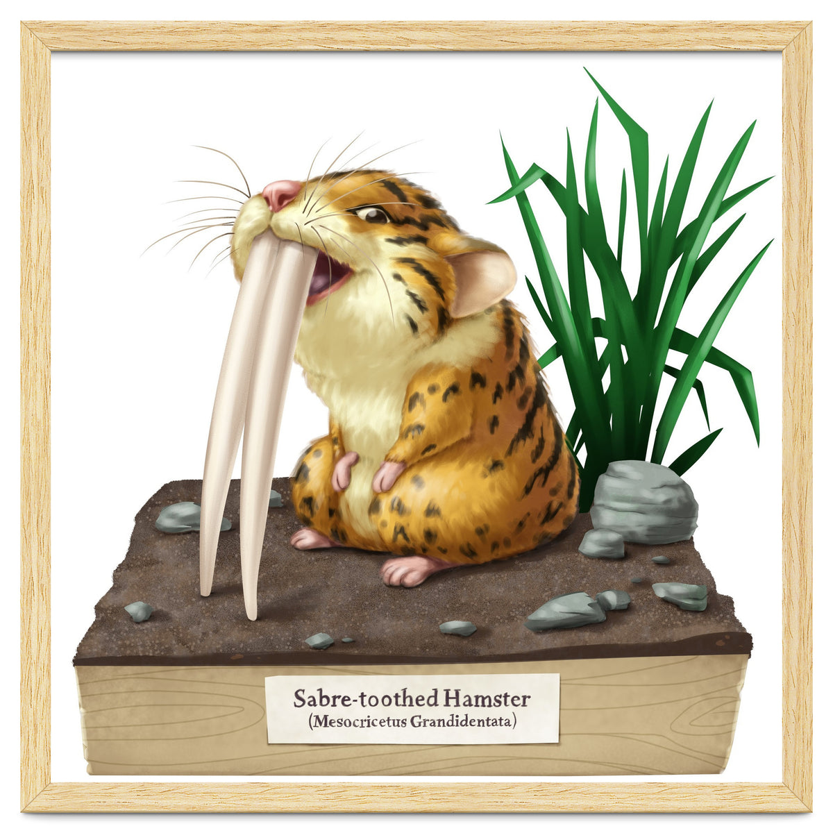 Saber-toothed Hamster