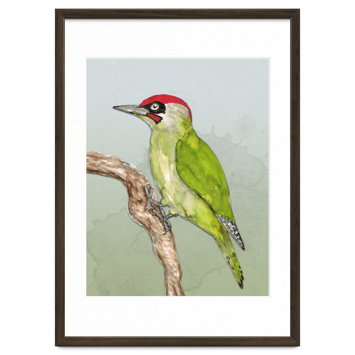 Green woodpecker