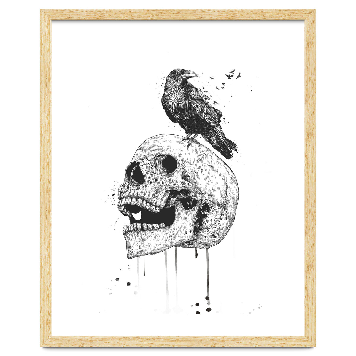New Skull (bw)