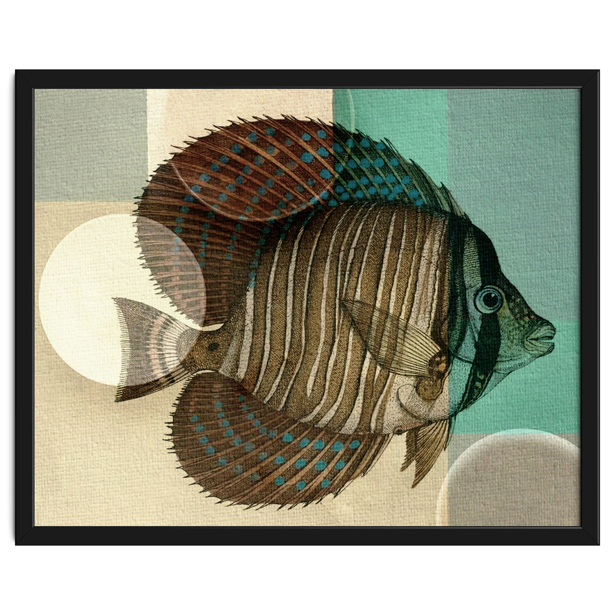 Fish Between Circles 4