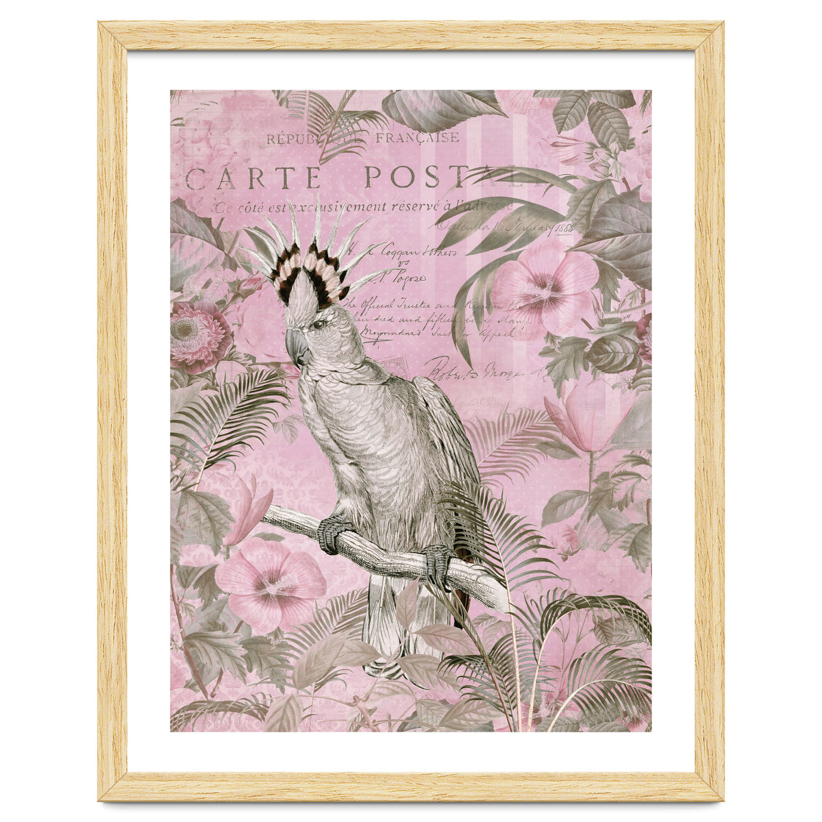 Jungle Cockatoo Pink