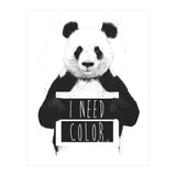 I Need Color (Print Only) thumbnail
