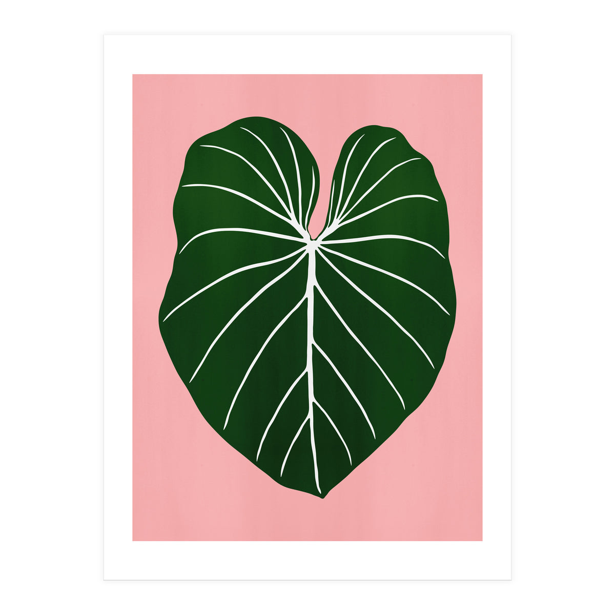 Leaf 05 (Print Only)