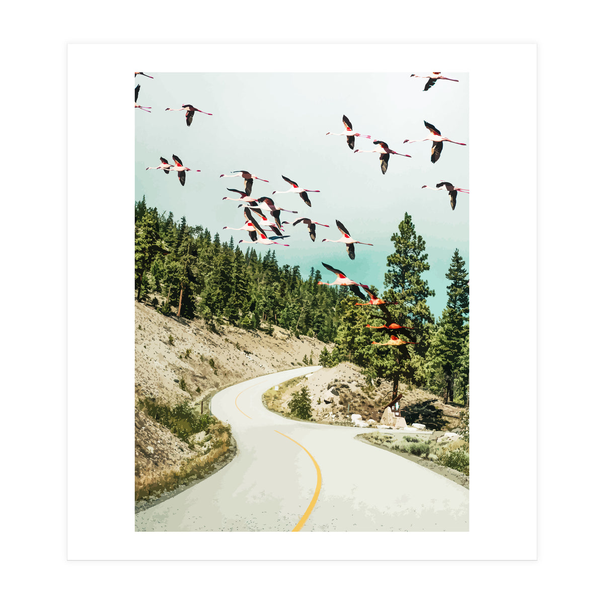 Flamingo Flight (Print Only)