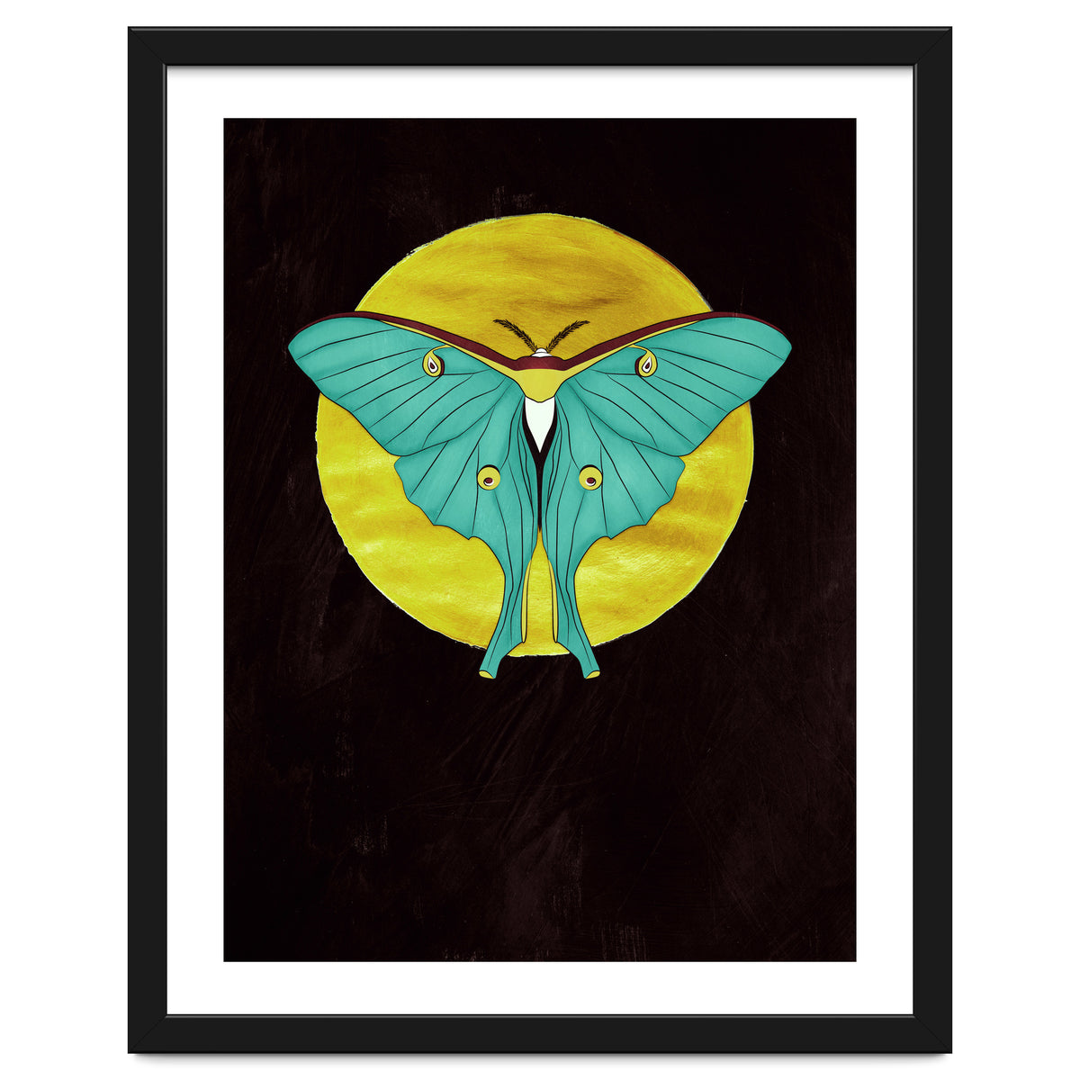 Luna Moth Moon
