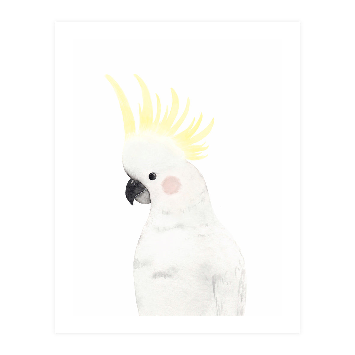 Sweet Cockatoo (Print Only)