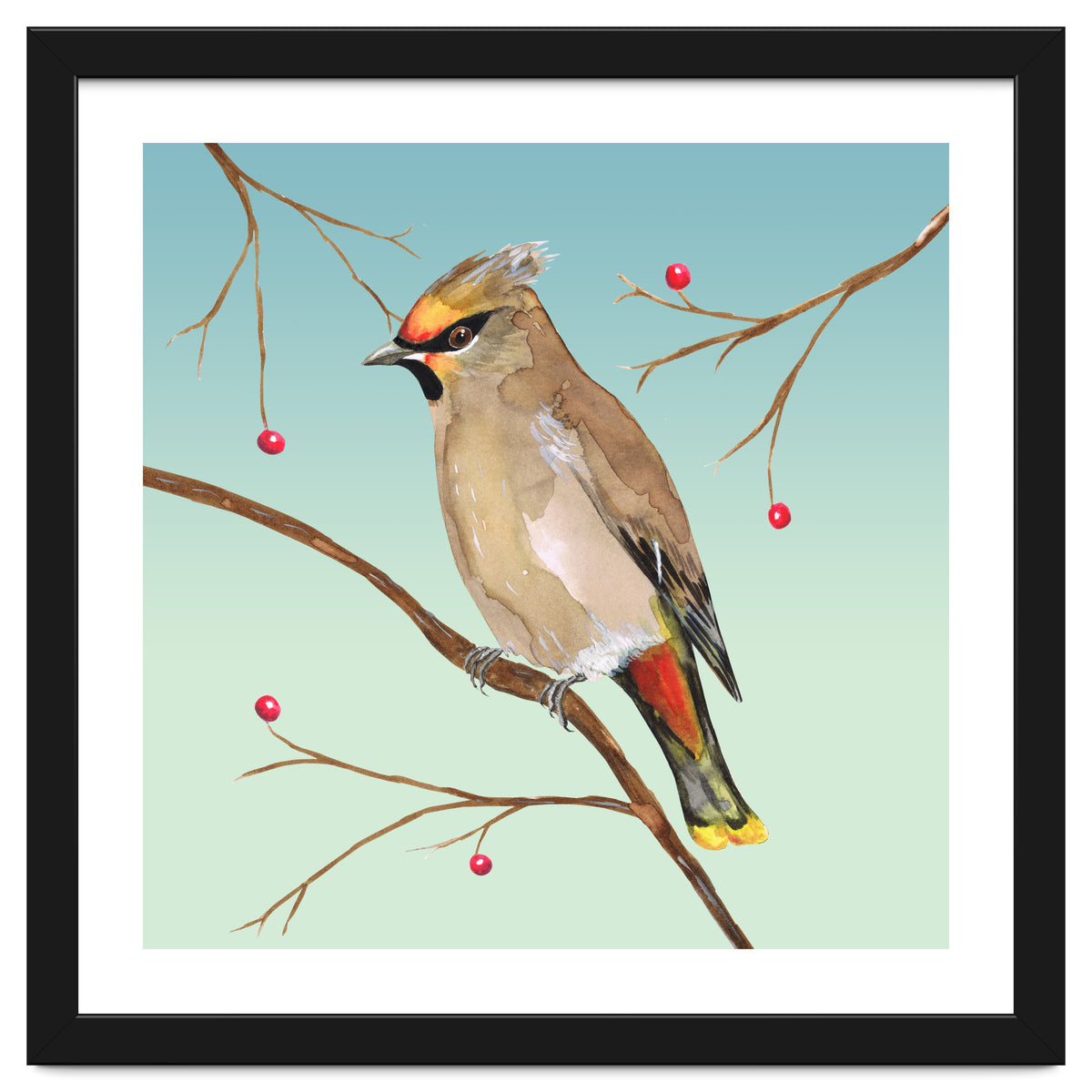 Bohemian waxwing
