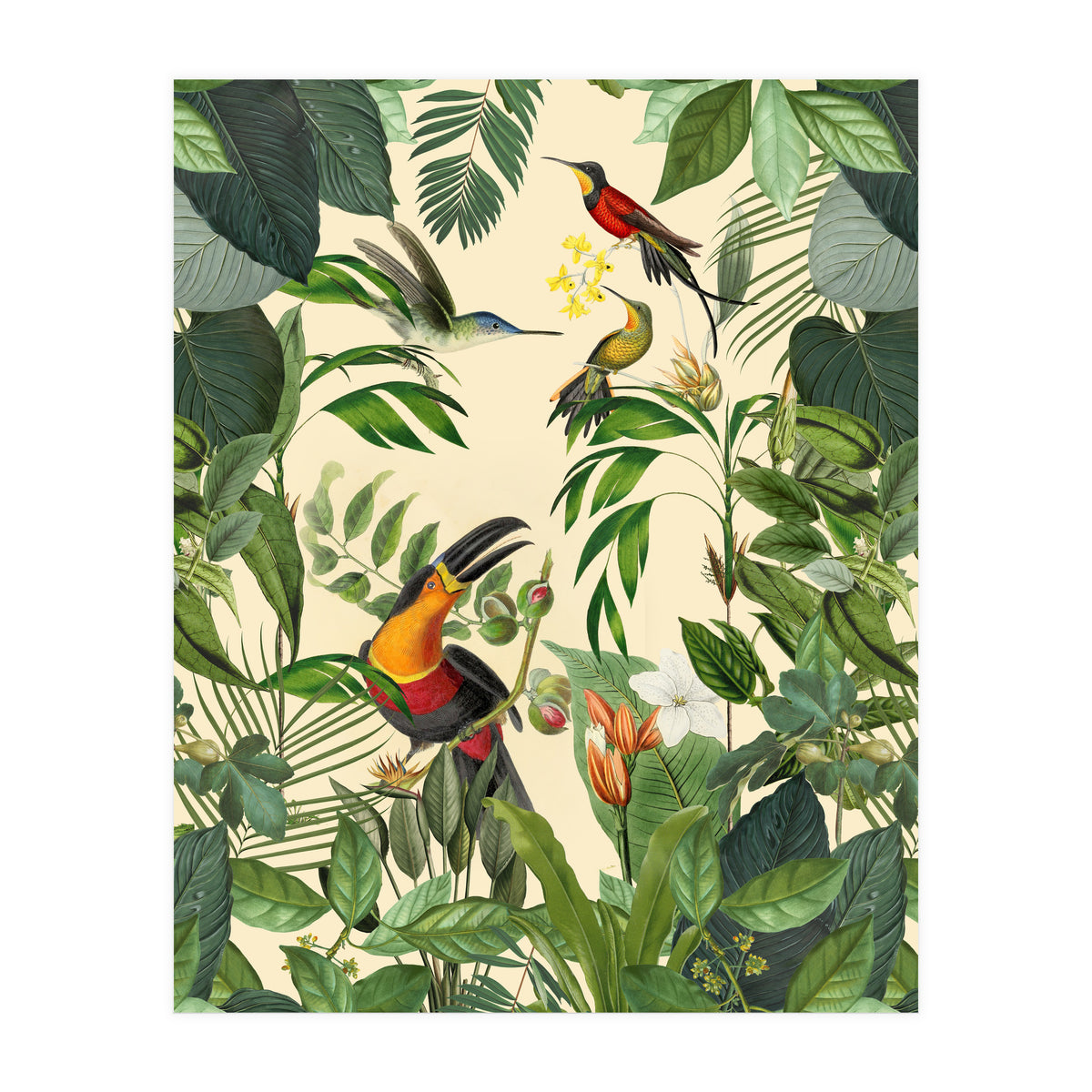 Green Jungle Toucans (Print Only)