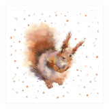 Squirrel - Wild Woods collection (Print Only) thumbnail