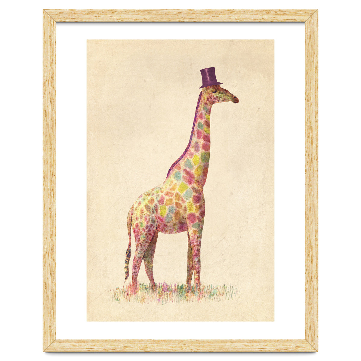 Fashionable Giraffe