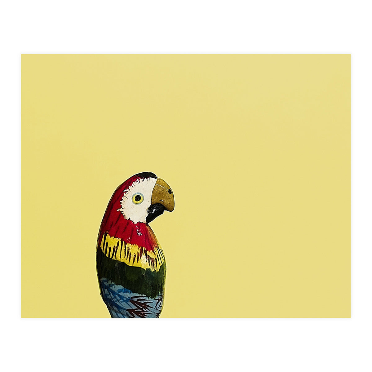 Parrot (Print Only)