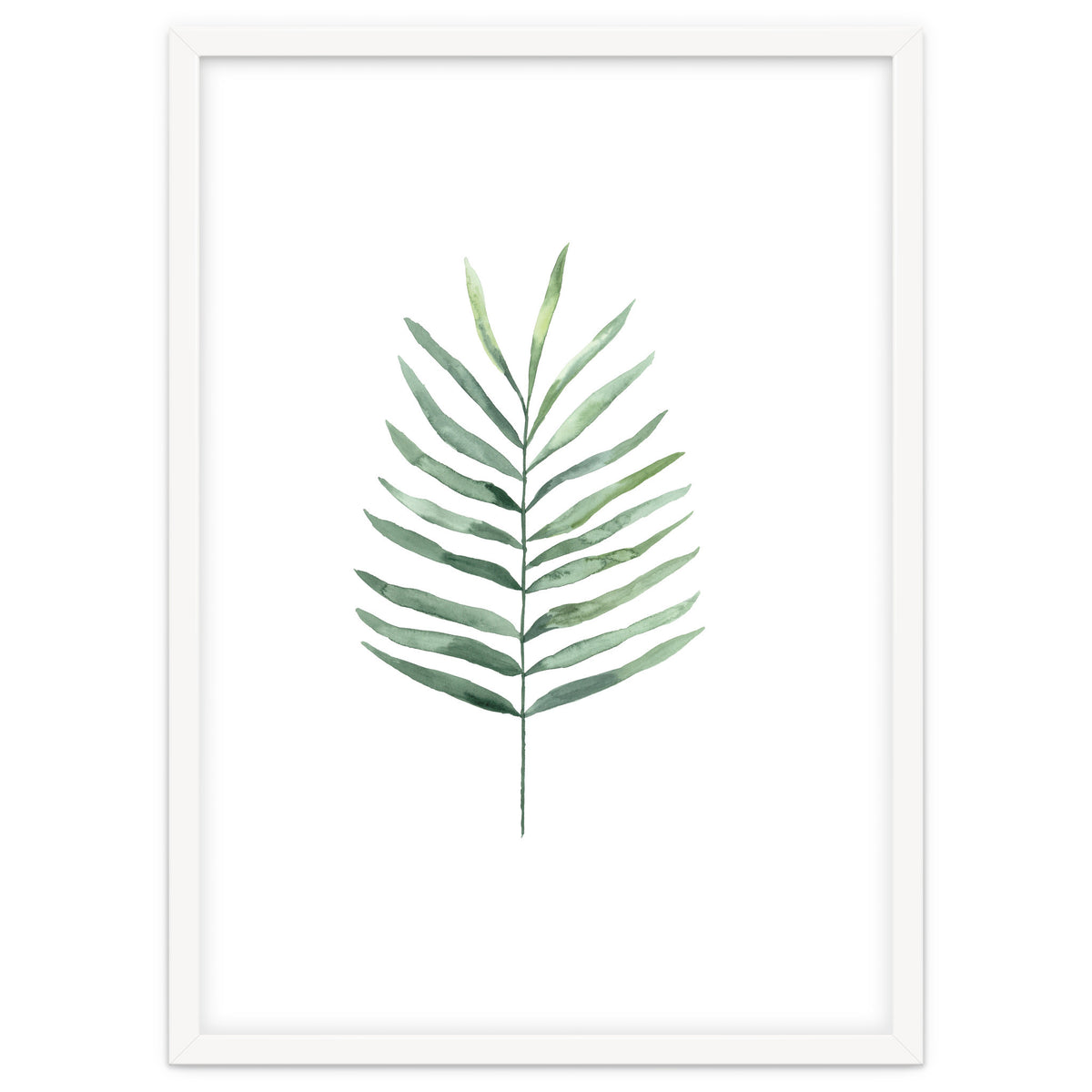 Botanical Illustration Fern