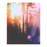 Finding Light (Print Only) thumbnail