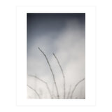 Forgotten Memories of summer #18 (Print Only) thumbnail