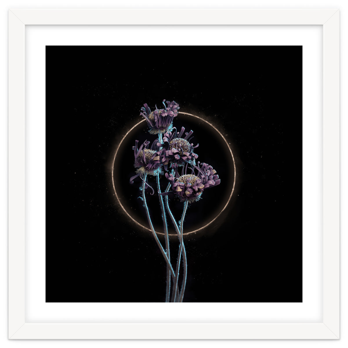 Candy-Coloured Mystery