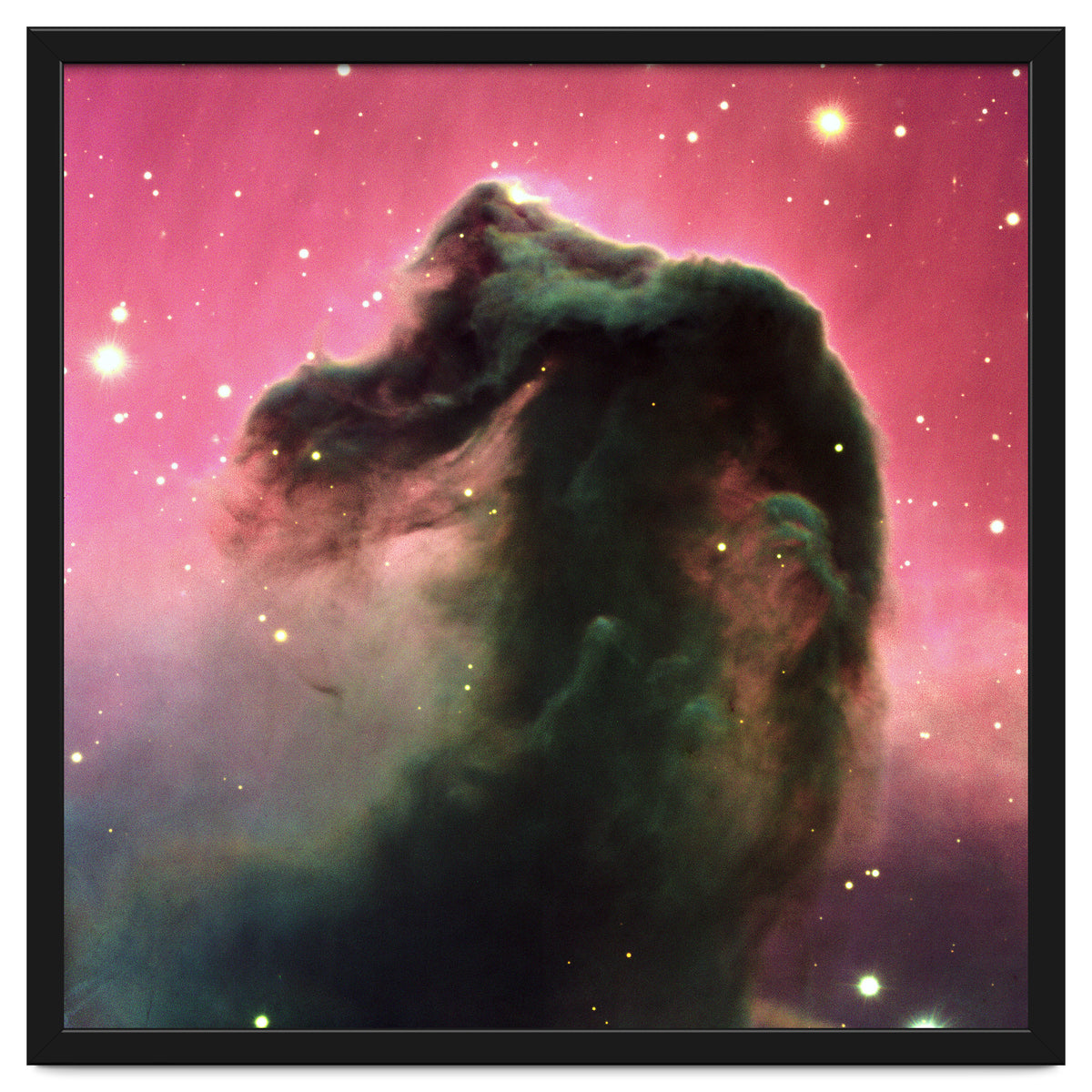 The Horsehead Nebula