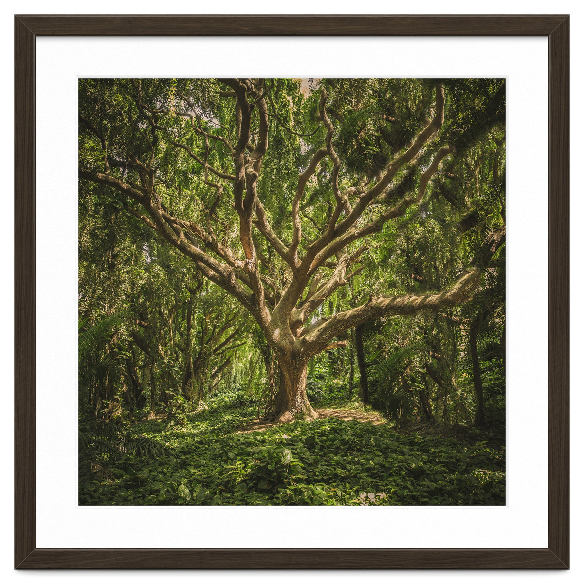 Spirits inside the wood