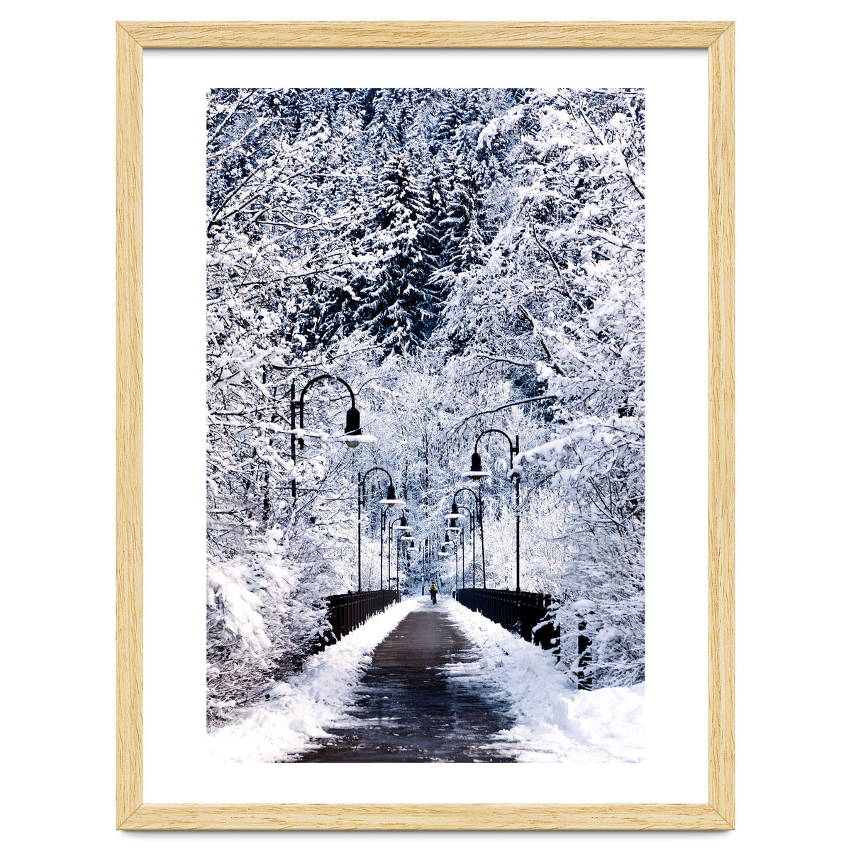 Snowy Bridge
