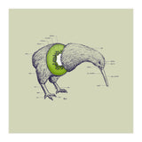 Kiwi Anatomy (Print Only) thumbnail