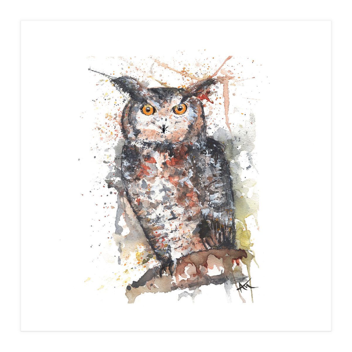 Owl - Wildlife Collection (Print Only)