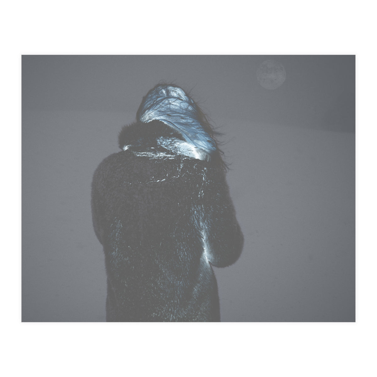 Metamorphosis (Print Only)