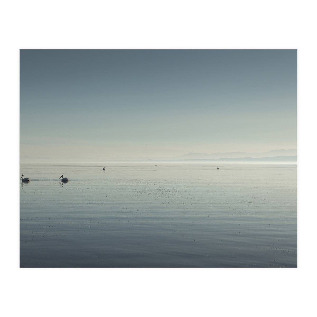 The Salton Sea (Print Only)