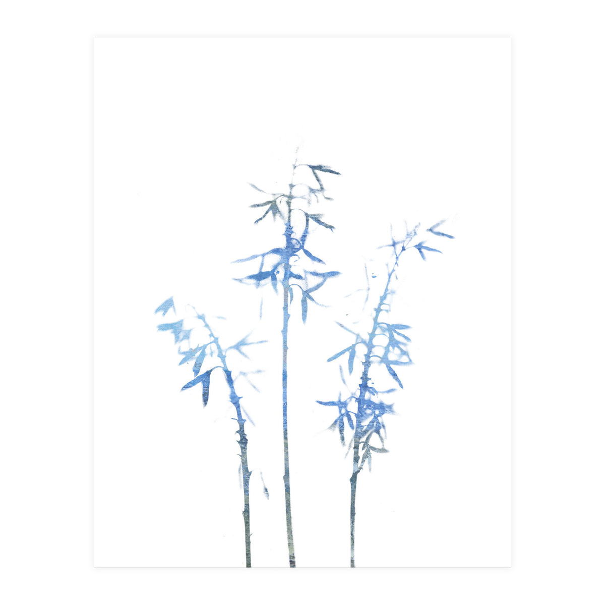 Blue Hosta (Print Only)