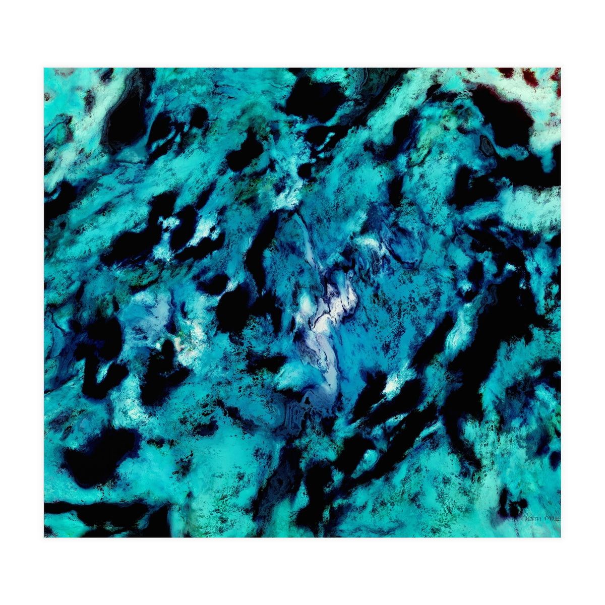 Distinguishing Marks (Print Only)