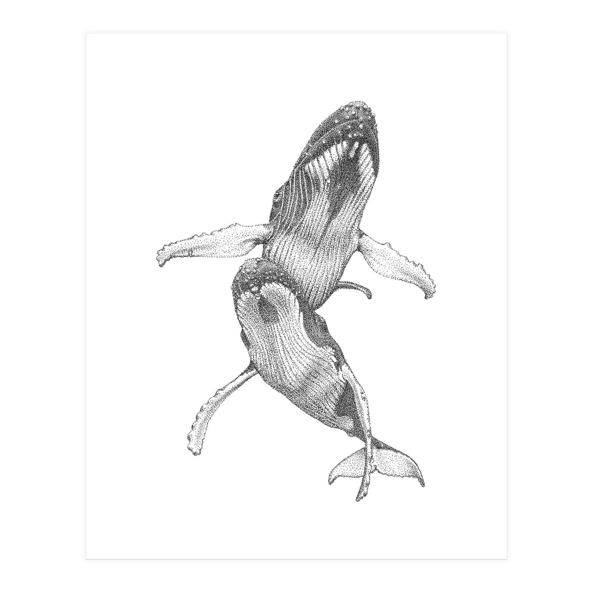 Humpacks no. 1 (Print Only)