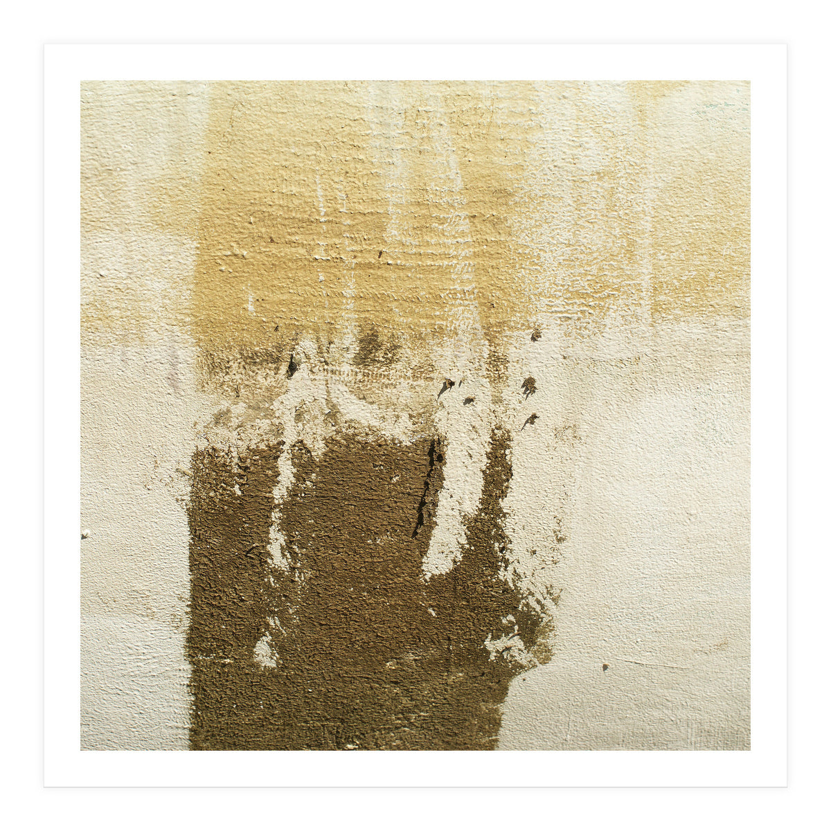 Harmony (Print Only)