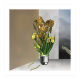 Das Licht Der Pflanze (Print Only) thumbnail