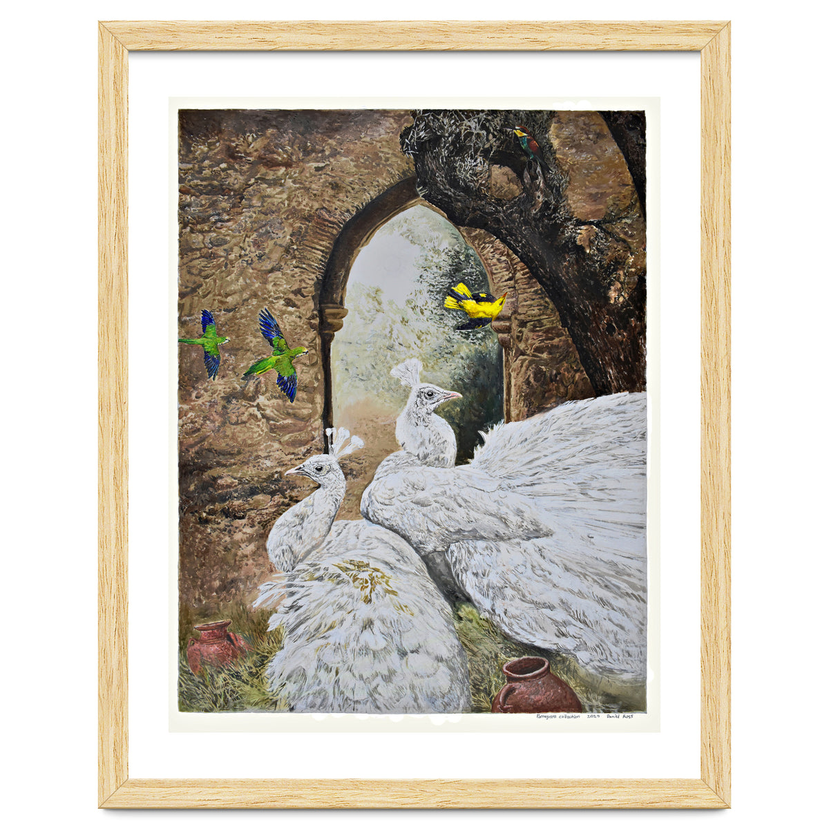 Portuguese Collection