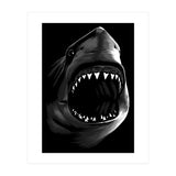 Great Shark White (Print Only) thumbnail