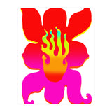 Fuego 112 Copia (Print Only) thumbnail