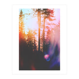 Finding Light (Print Only) thumbnail