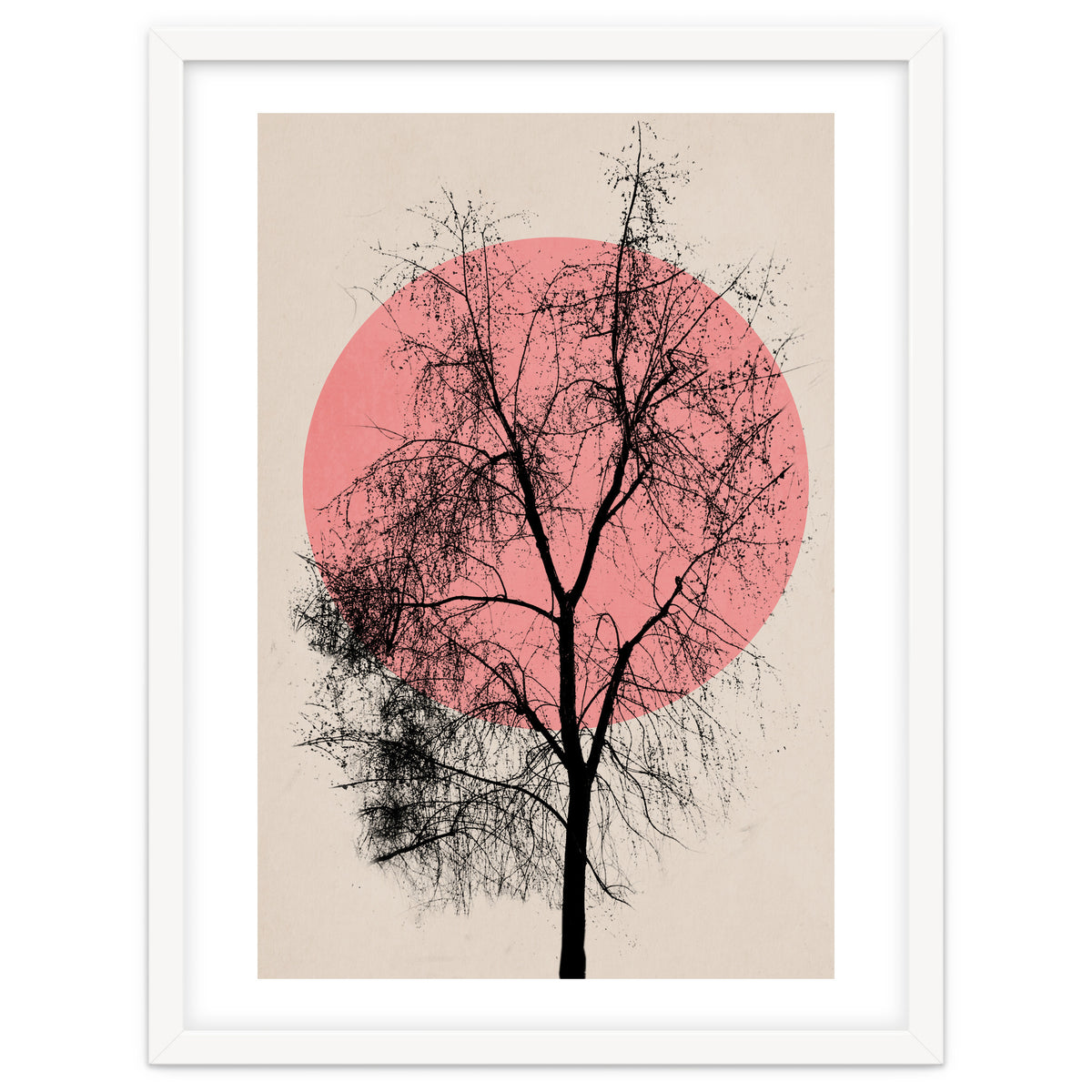 Memories And Moments