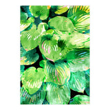 Colors Of The Jungle (Print Only) thumbnail