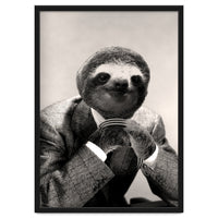 Gentleman Sloth 3