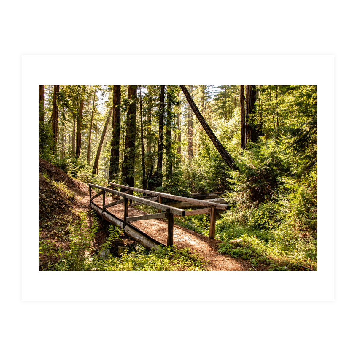 Ewoldsen Trail Bridge  (Print Only)