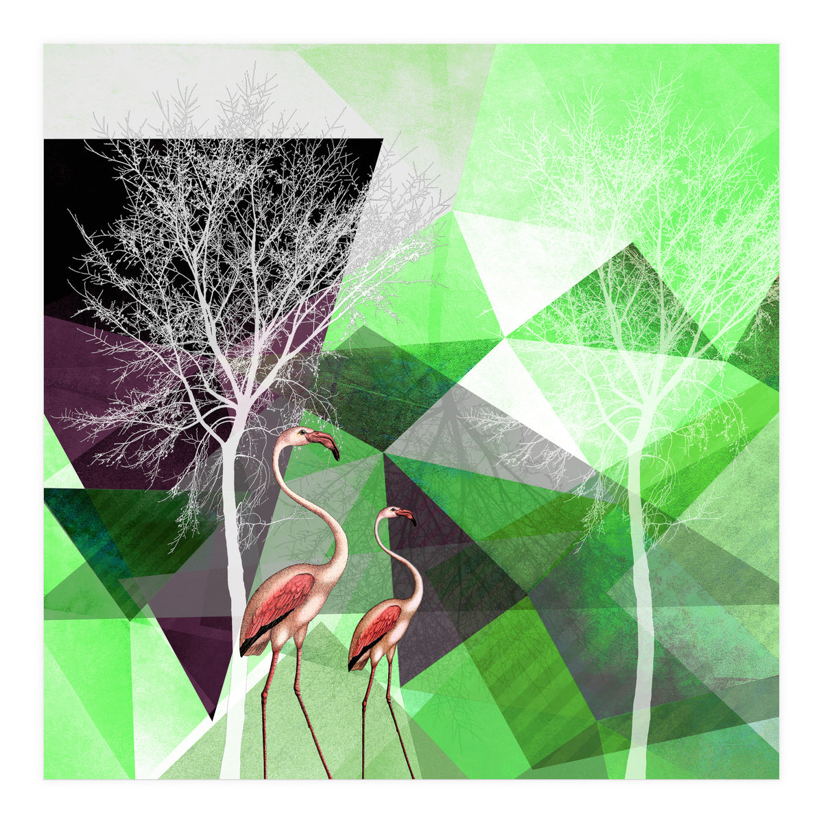 FLAMINGOS P21  (Print Only)