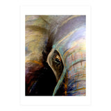 Kind Eye (Print Only) thumbnail