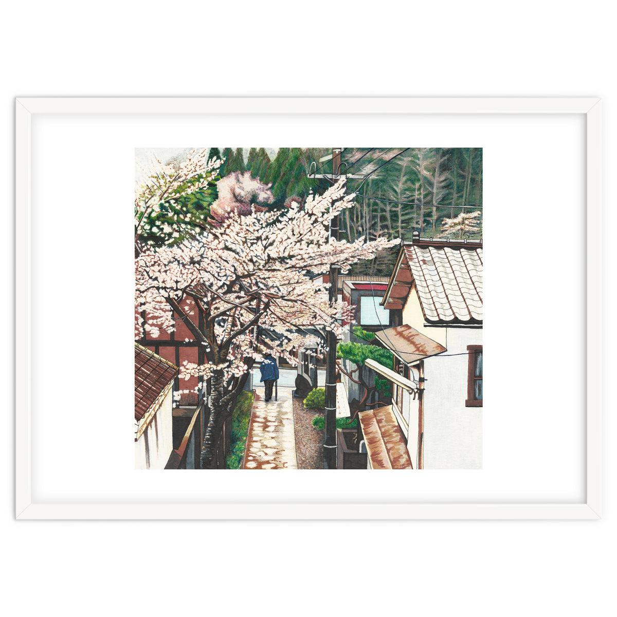 Passing by Cherry Blossoms