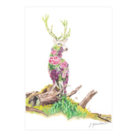 Floral May Stag (Print Only)