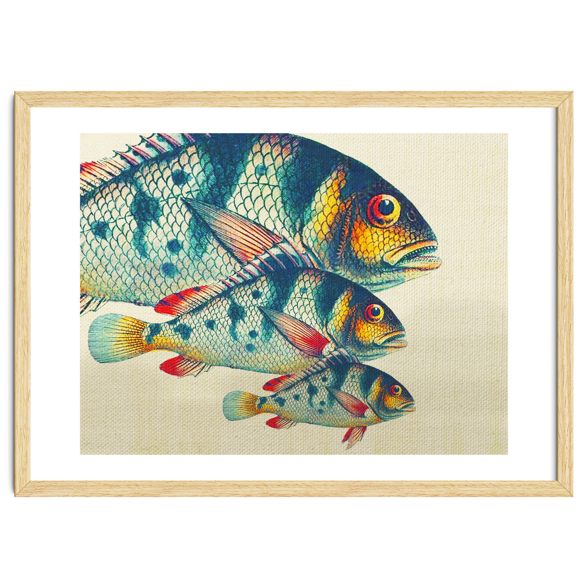 Fish Classic Designs 3