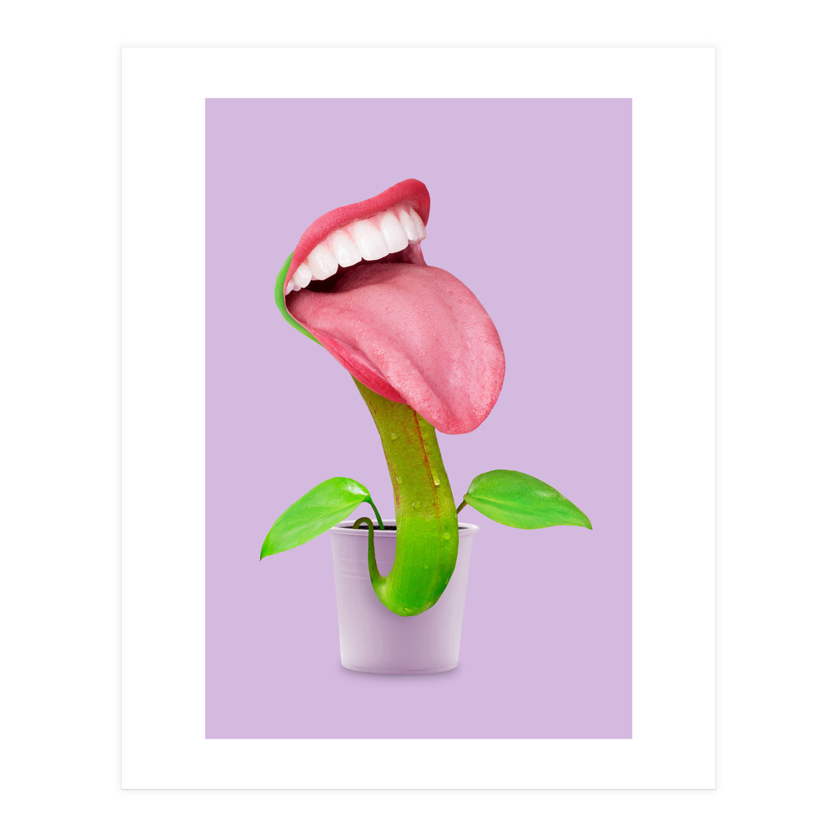 Carnivorous Plant (Print Only)